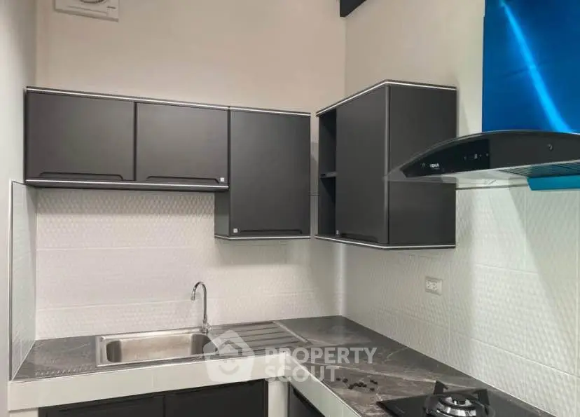 Modern kitchen with sleek black cabinets and gas stove