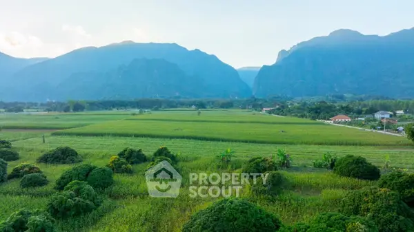 image_rental-16176484