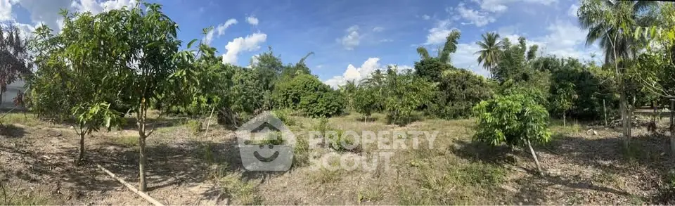 Expansive land plot with lush greenery and clear blue sky, perfect for development or agriculture.