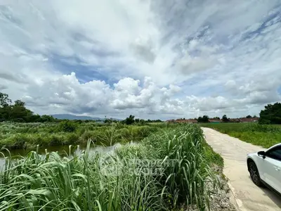 Expansive land with lush greenery and scenic views, perfect for development opportunities.