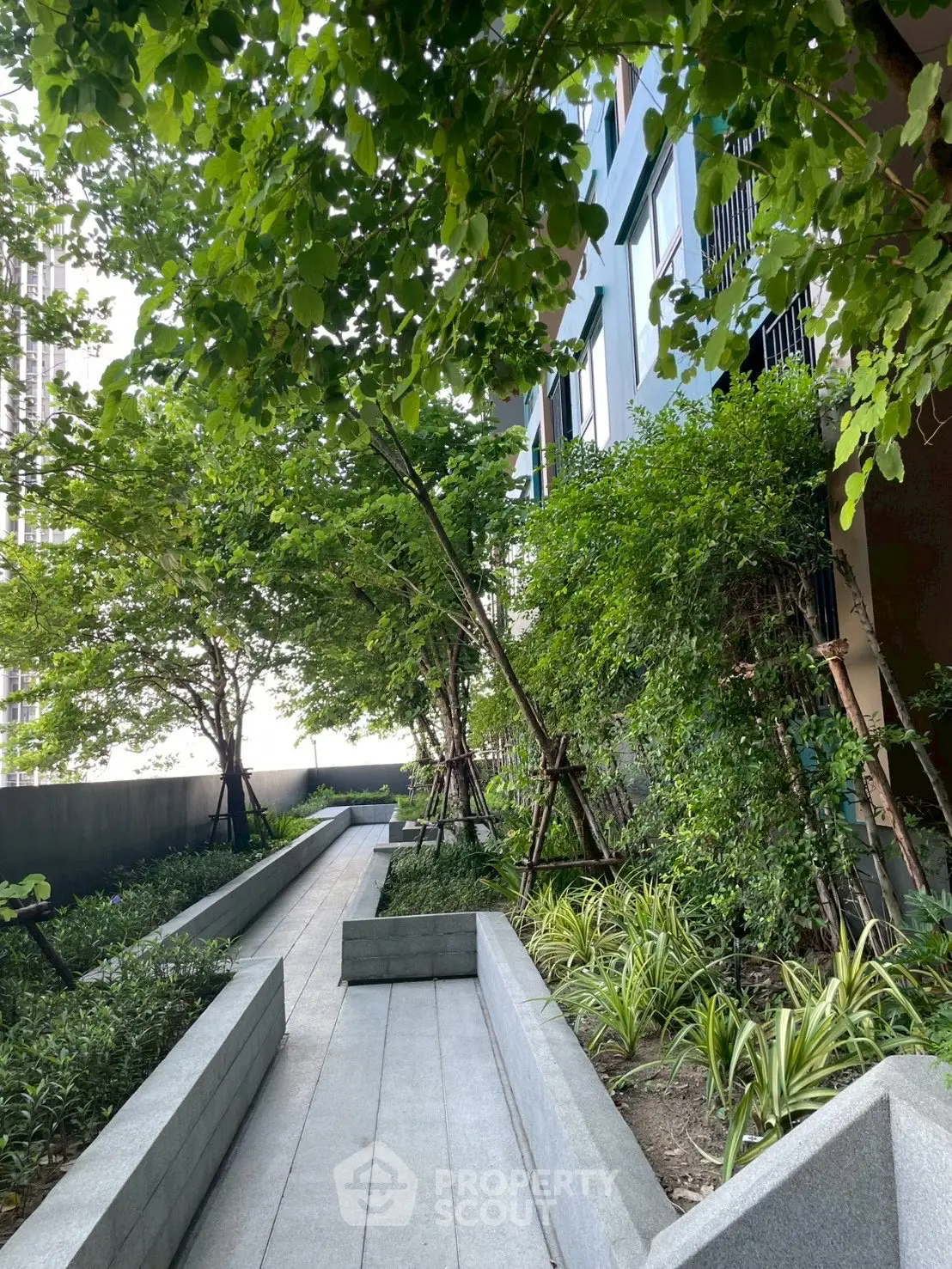 Lush garden pathway in modern residential building exterior