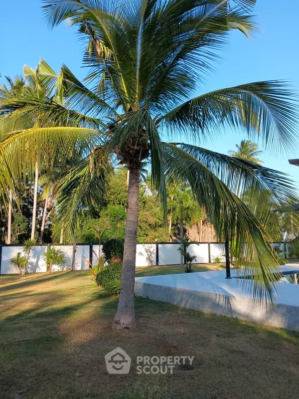 image_rental-17054670