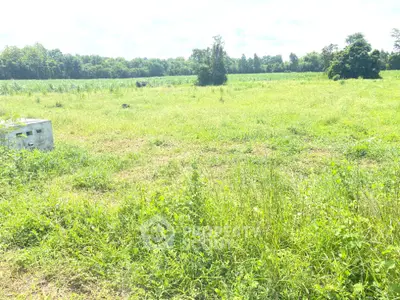 Expansive green land plot ideal for development with lush surroundings and clear skies.