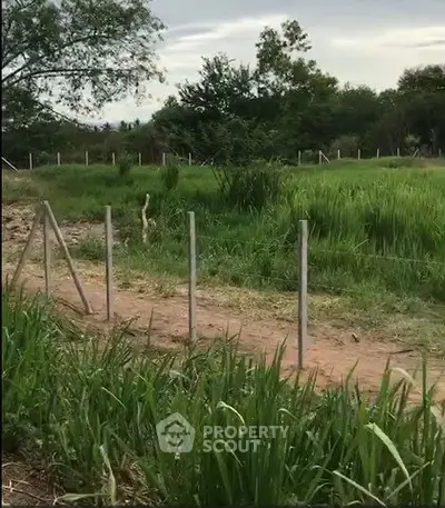 Expansive green field with rustic fencing, ideal for agricultural or development opportunities.