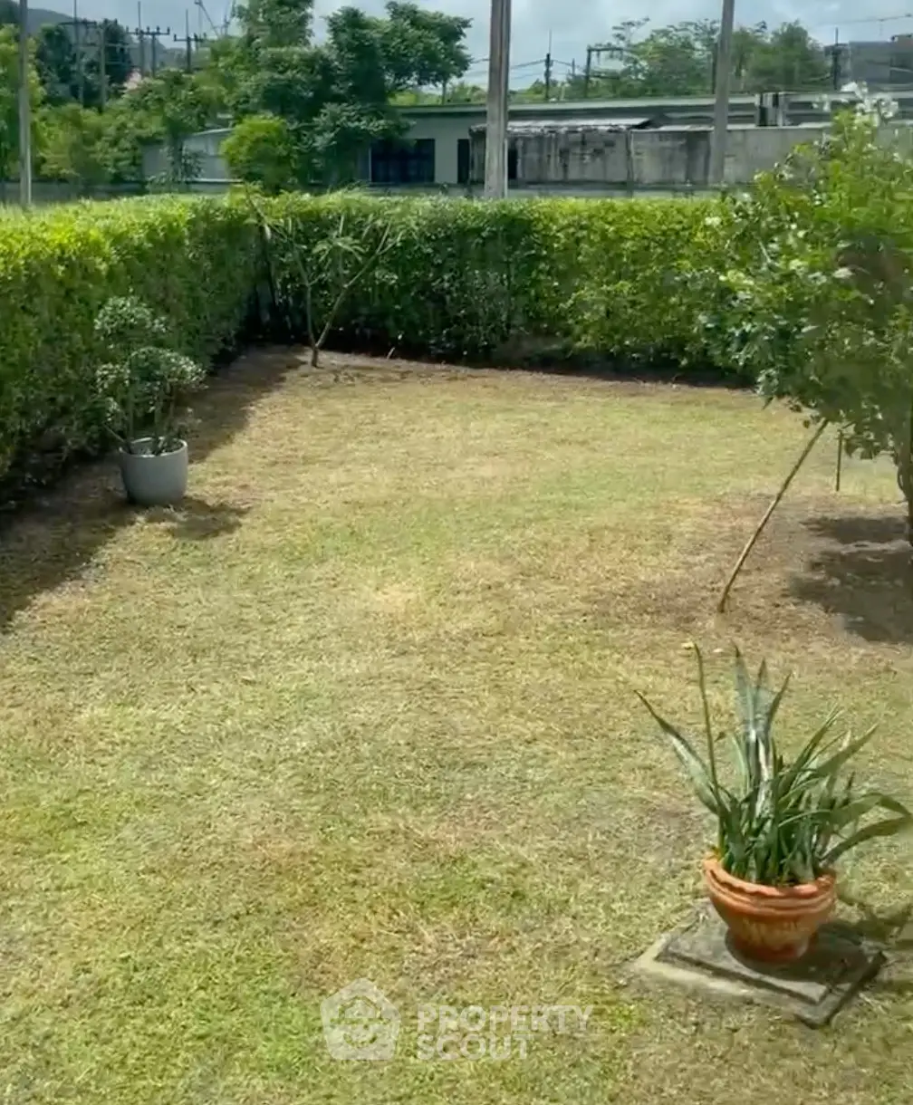 Charming garden space with lush greenery and potted plants, perfect for outdoor relaxation and gardening enthusiasts.