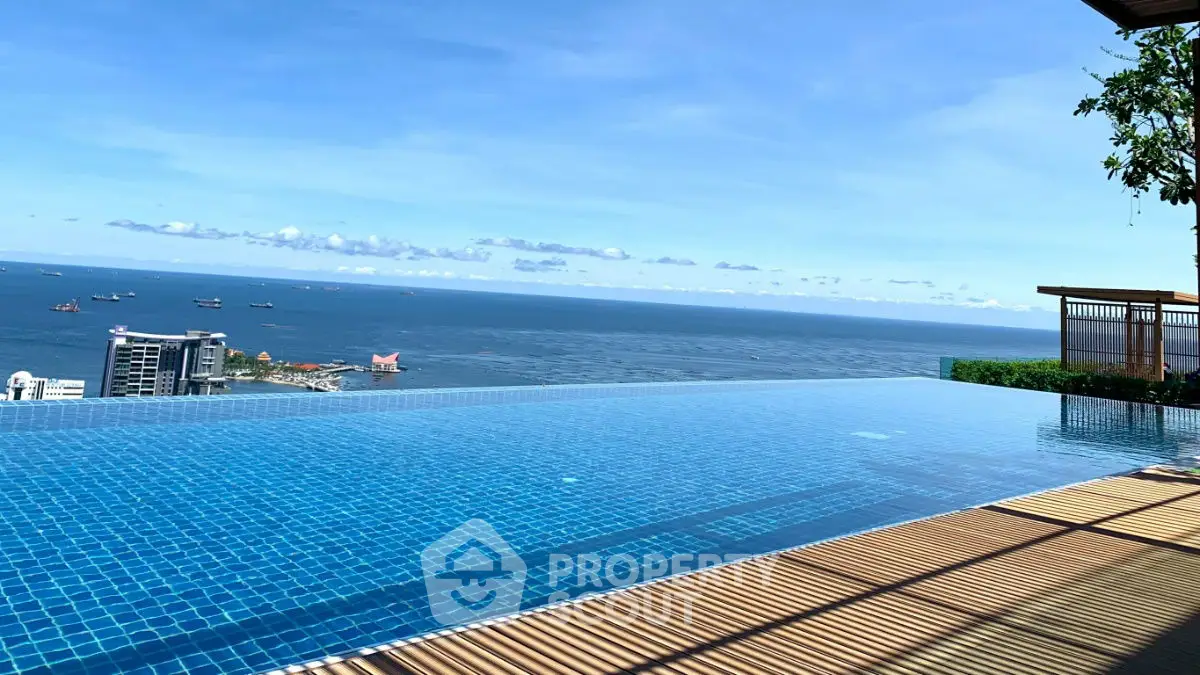 Stunning infinity pool with breathtaking ocean view in luxury property.