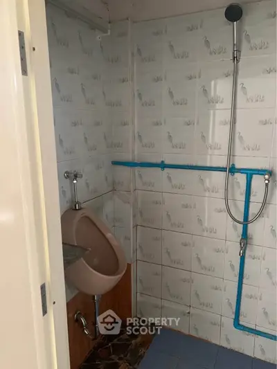 Compact bathroom with urinal and shower, featuring bird-themed tiles.