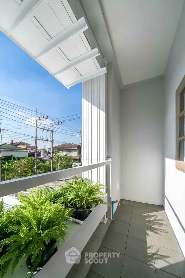 Charming balcony with potted plants and sunny view in modern home