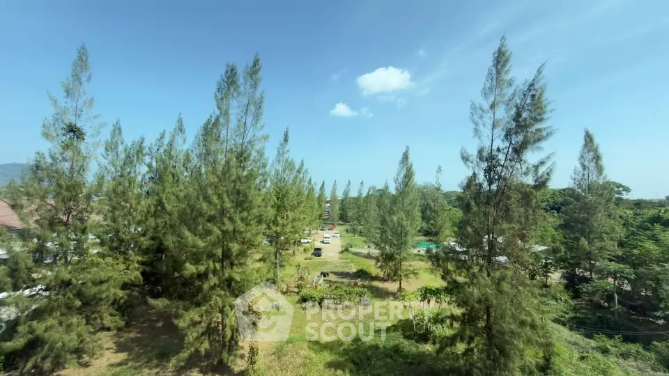 Scenic view of lush green garden with tall trees and clear blue sky