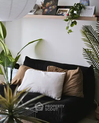 image_rental-27361468