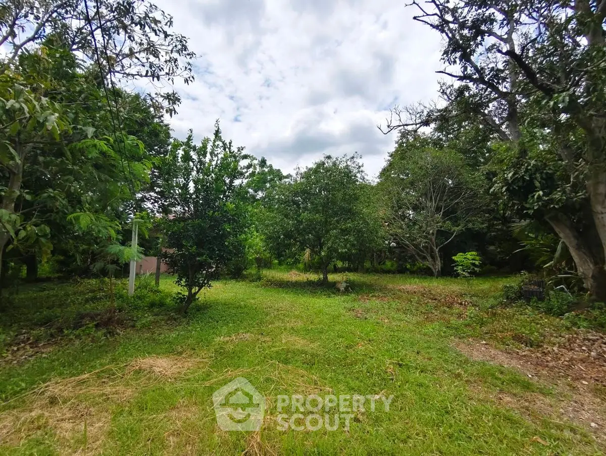 Spacious lush garden with mature trees and open grassy area