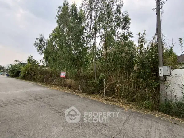 image_rental-29557719