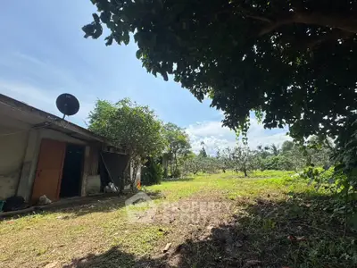 image_rental-29009824