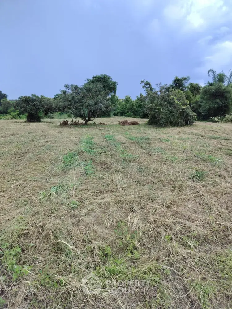 Expansive plot of land with lush greenery and clear blue sky, perfect for development.
