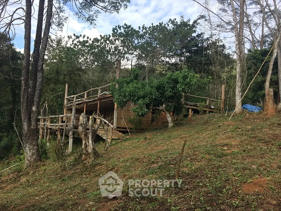 Rustic hillside cabin surrounded by lush greenery and trees, offering a serene natural retreat.