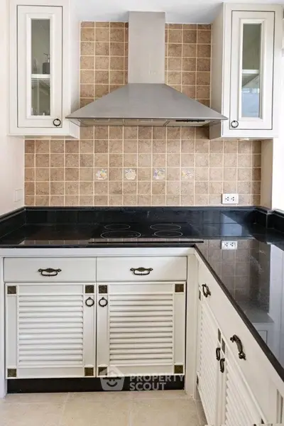 Charming kitchen with classic cabinetry and modern stovetop in cozy home.