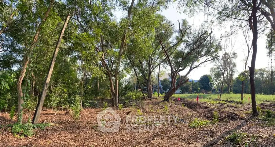 Spacious plot of land surrounded by lush greenery, perfect for building your dream home.