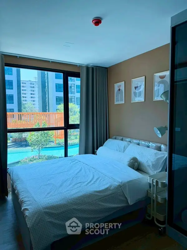 image_rental-31646377