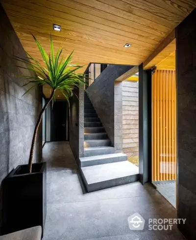 Modern entrance with sleek staircase and stylish indoor plant