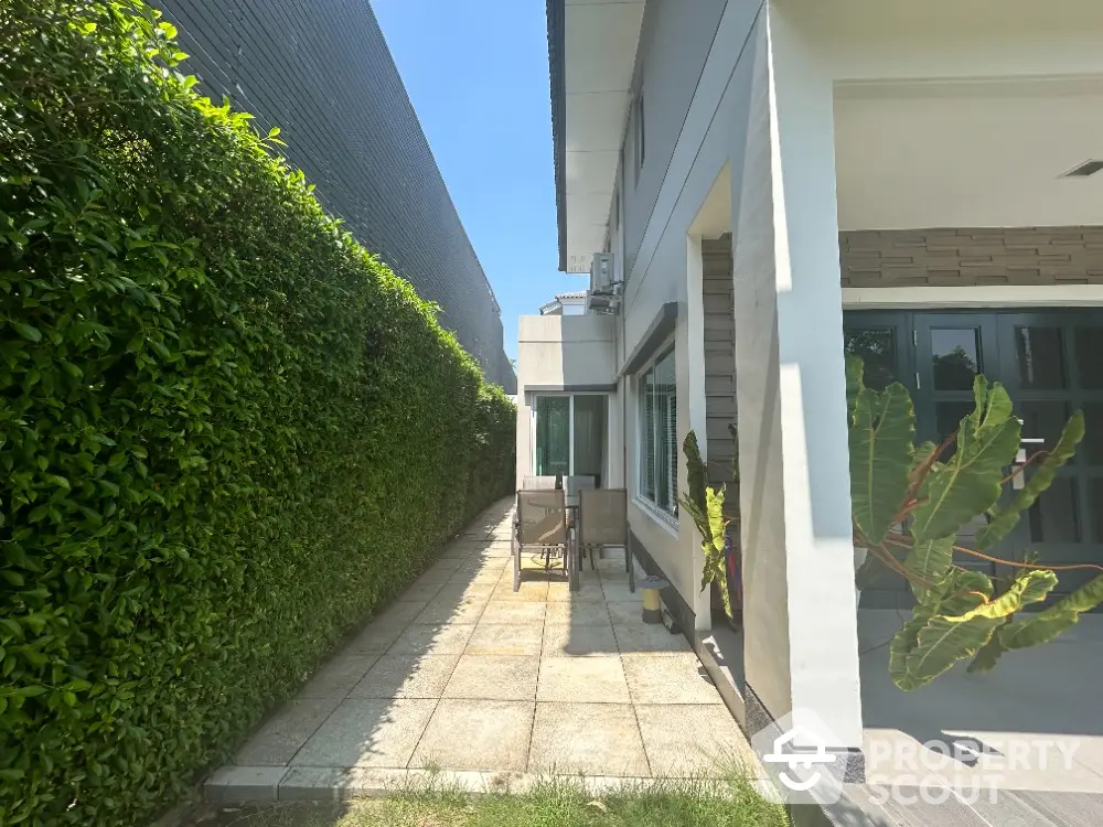 Sunlit private garden space with lush green hedge, offering a tranquil outdoor retreat adjacent to a modern home.