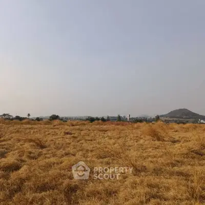 Expansive open land with scenic views ideal for development opportunities.