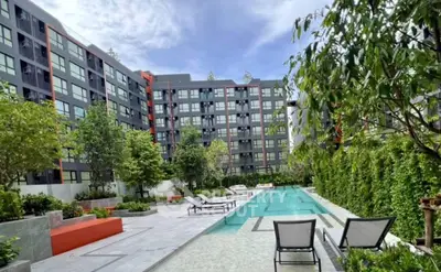 image_rental-30166411