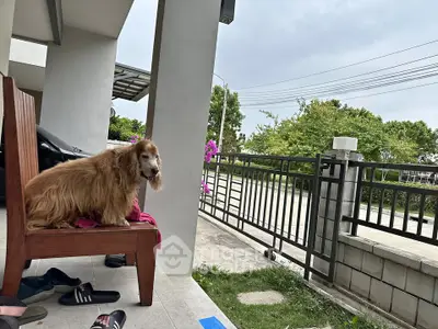 image_rental-31291344