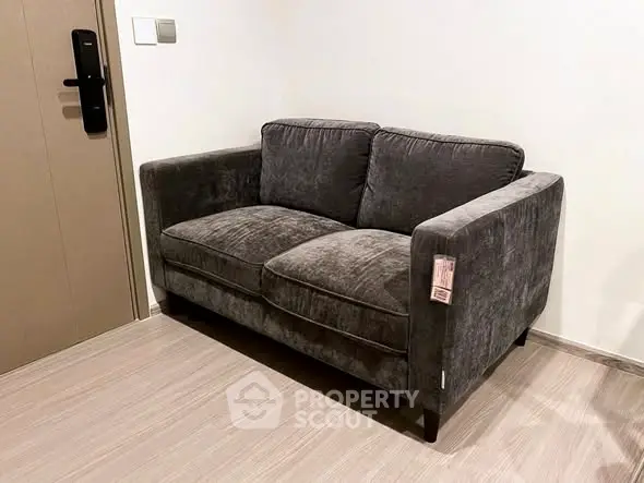 Modern gray sofa in a stylish living room with wooden flooring and minimalist decor.
