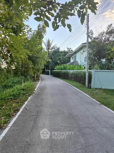 Charming suburban road leading to a serene residential home surrounded by lush greenery.