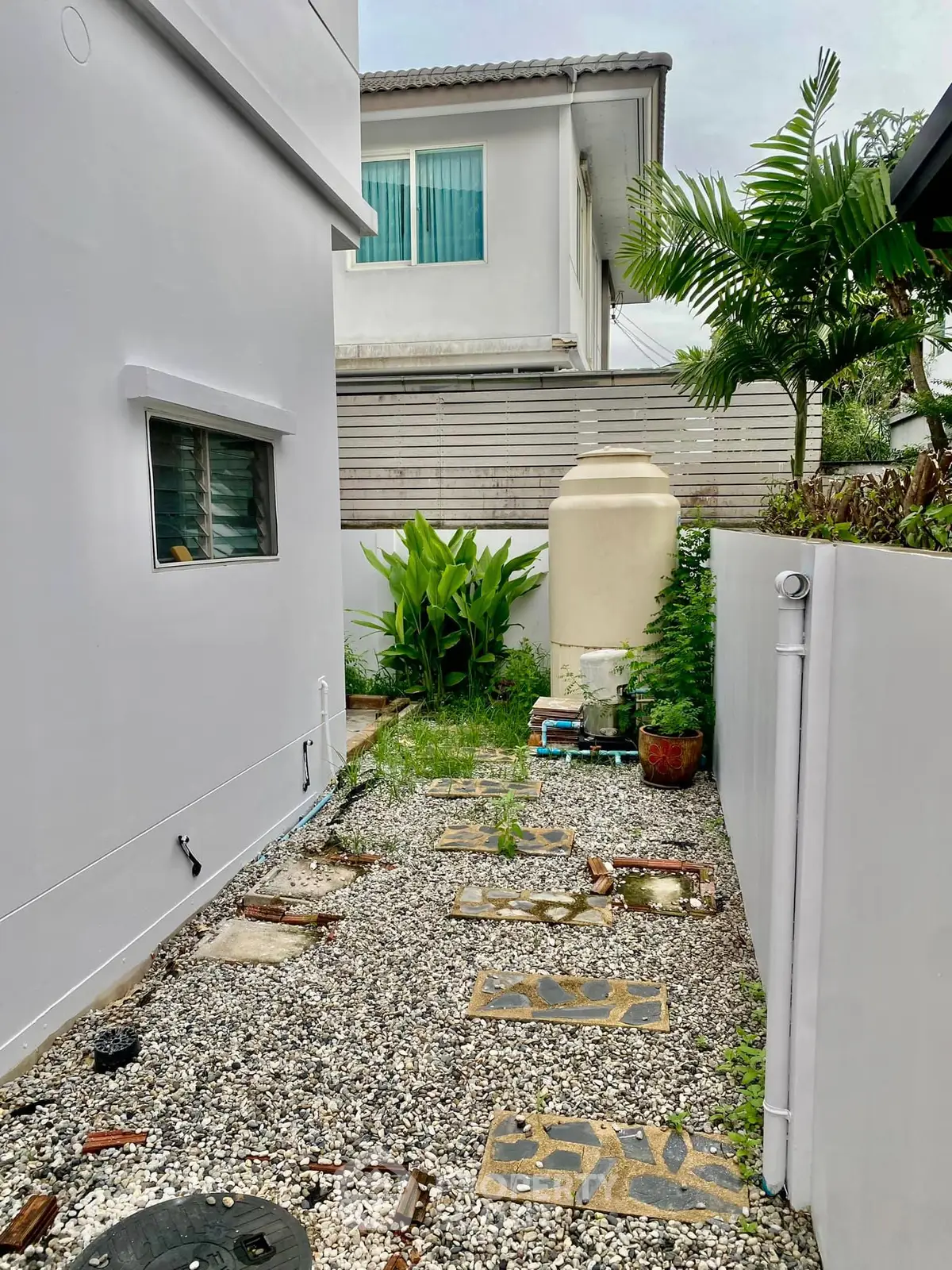 Charming side garden with stepping stones and lush greenery in a modern residential area.