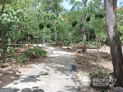 Serene garden pathway surrounded by lush greenery and trees, perfect for nature lovers.