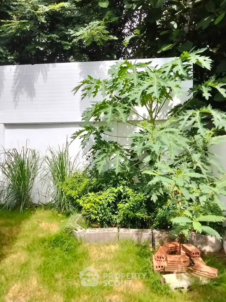 Lush garden with tropical plants and white fence, perfect for serene outdoor living.