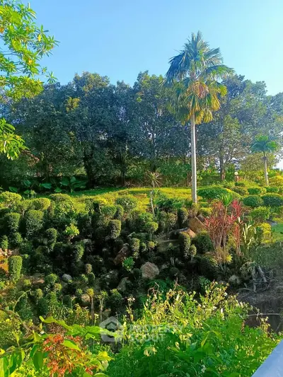 image_rental-29765198