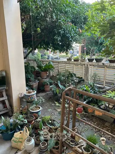 Charming garden view from a cozy balcony with lush greenery and potted plants.