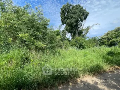Lush green vacant land with potential for development, surrounded by trees and clear skies.