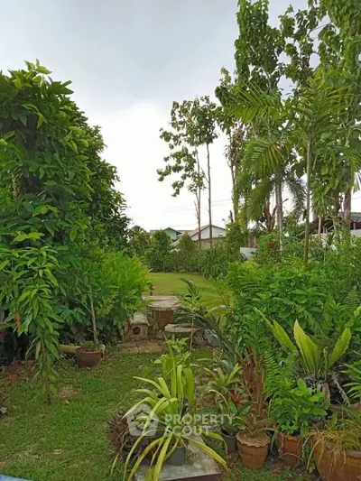 Lush garden view with vibrant greenery and potted plants in a serene residential setting.