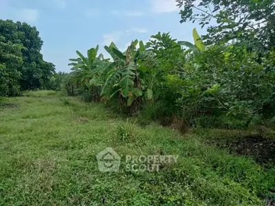 Lush green land with banana trees, perfect for agricultural investment or serene countryside living.