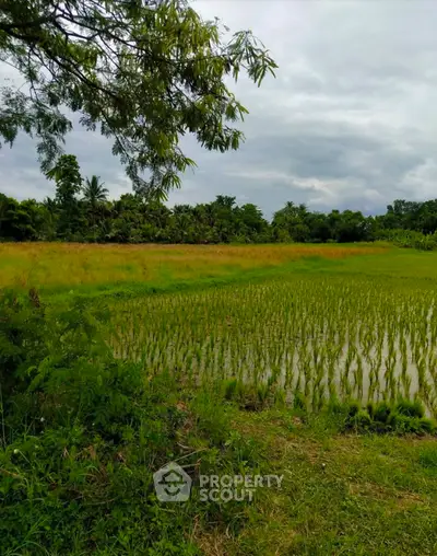 Screenshot 2026-04-28 100730.png