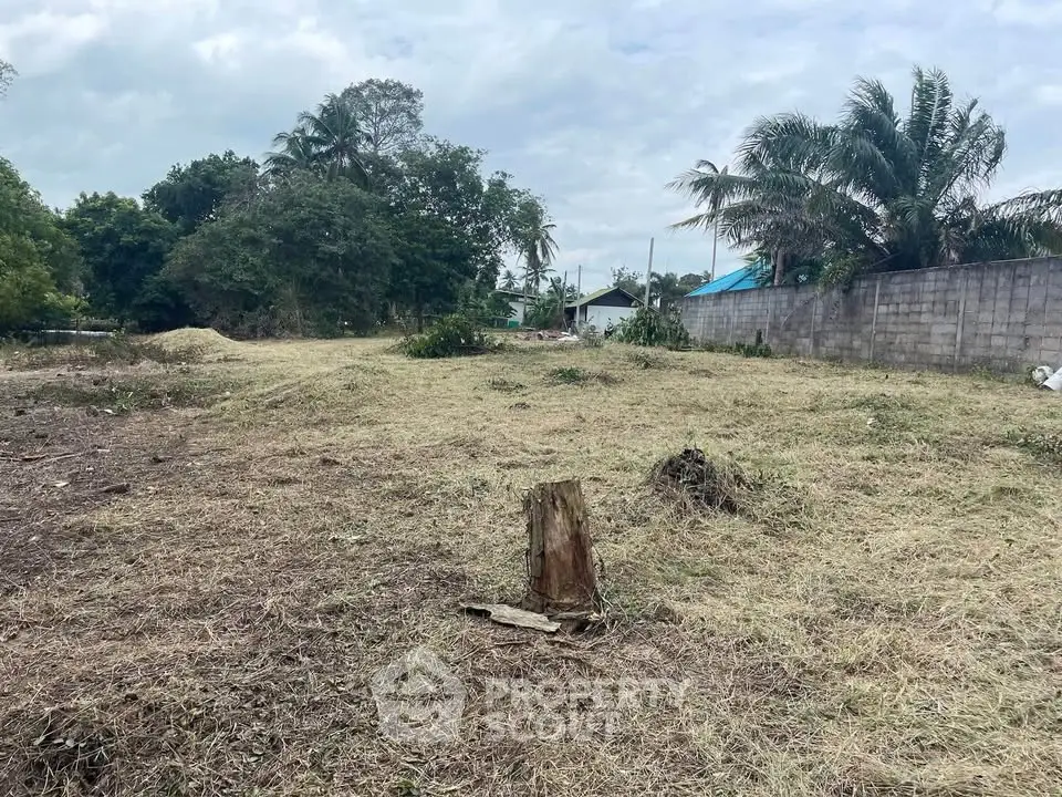 Spacious vacant land with lush greenery, perfect for development opportunities.