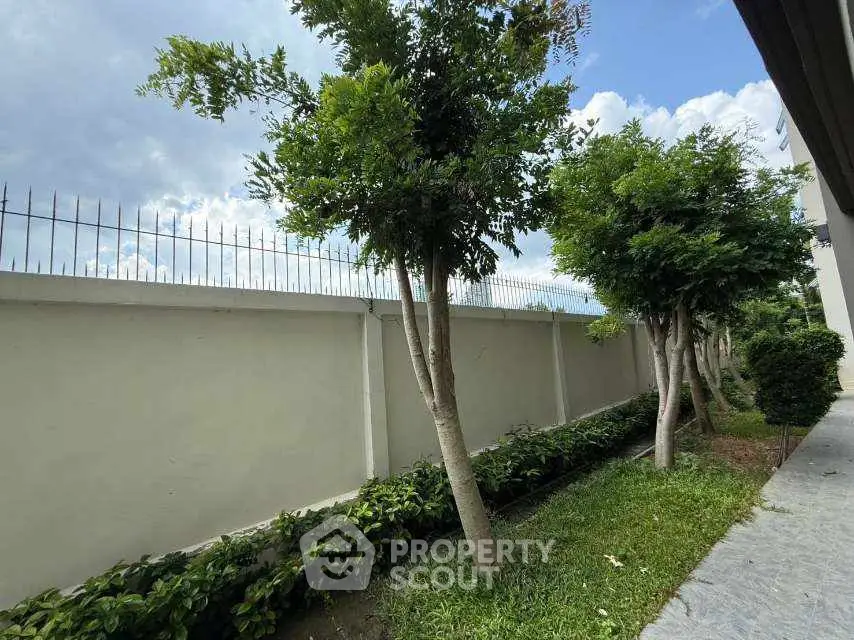 Serene garden view with lush greenery and tall trees in a residential area.