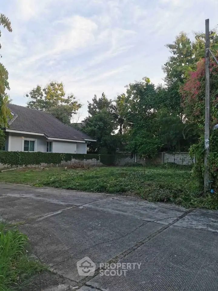 Charming suburban house with lush greenery and spacious driveway, perfect for serene living.