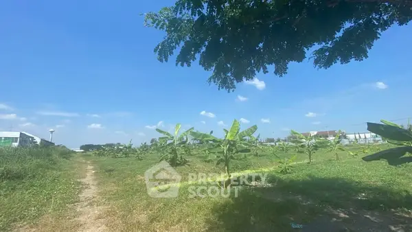 image_rental-26775398