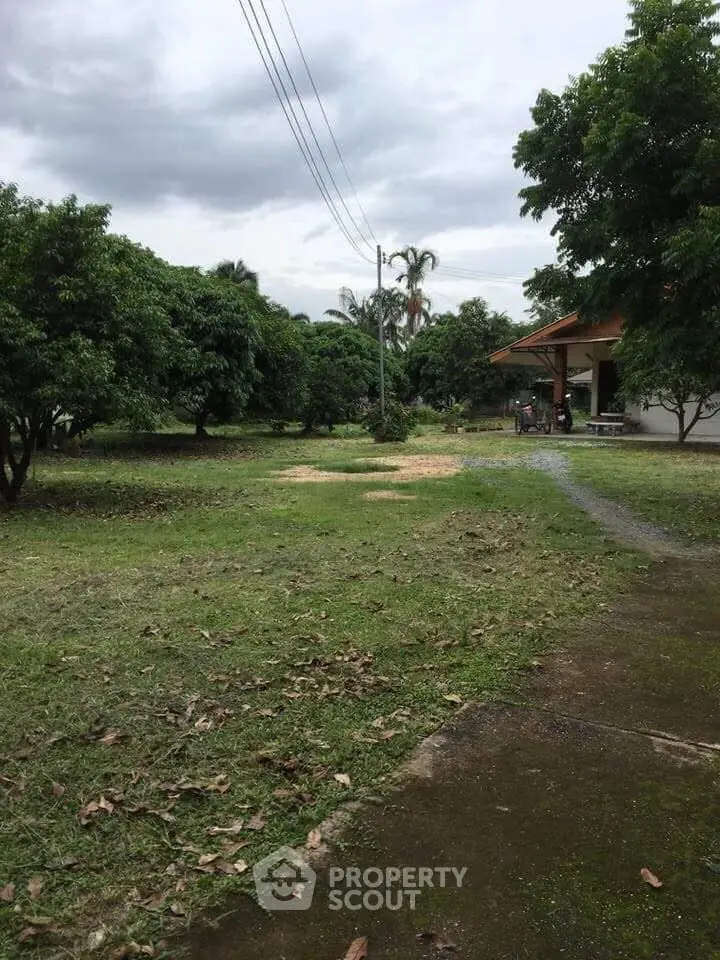 Spacious garden area with lush greenery and a charming house in the background.
