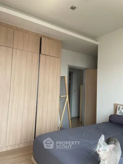 Modern bedroom with sleek wooden wardrobe and cozy bed, featuring a playful cat.