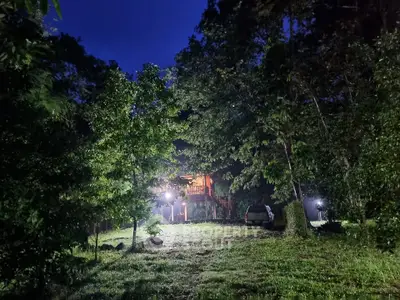 Charming forest cabin with lush greenery and serene ambiance at dusk