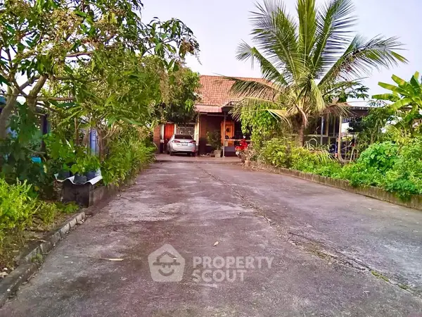 image_rental-31196546