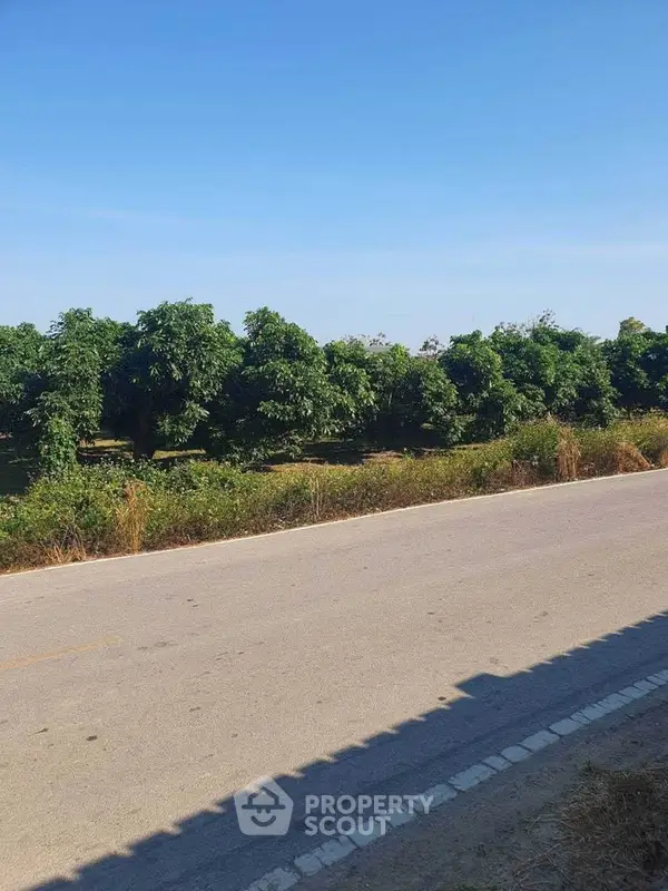 image_rental-27755027