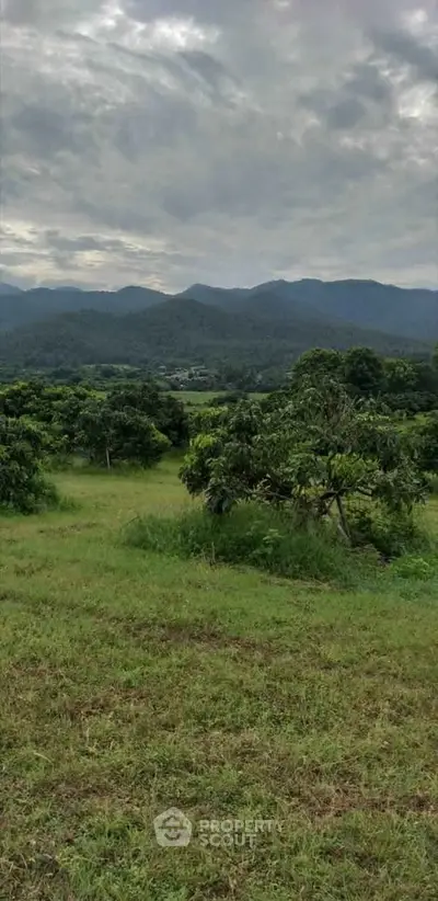 Scenic view of lush green landscape with mountains in the background, perfect for real estate development.