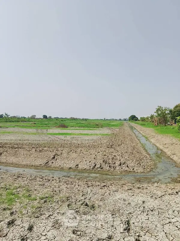 image_rental-26247359