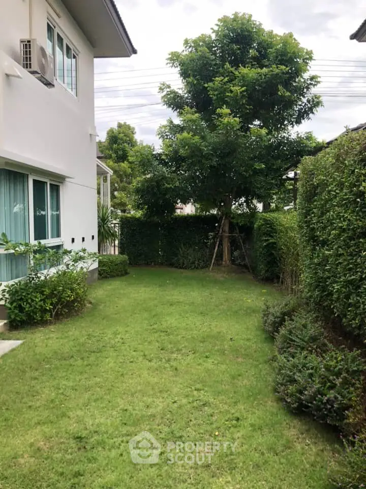 Charming garden view of a modern home with lush greenery and privacy hedges.